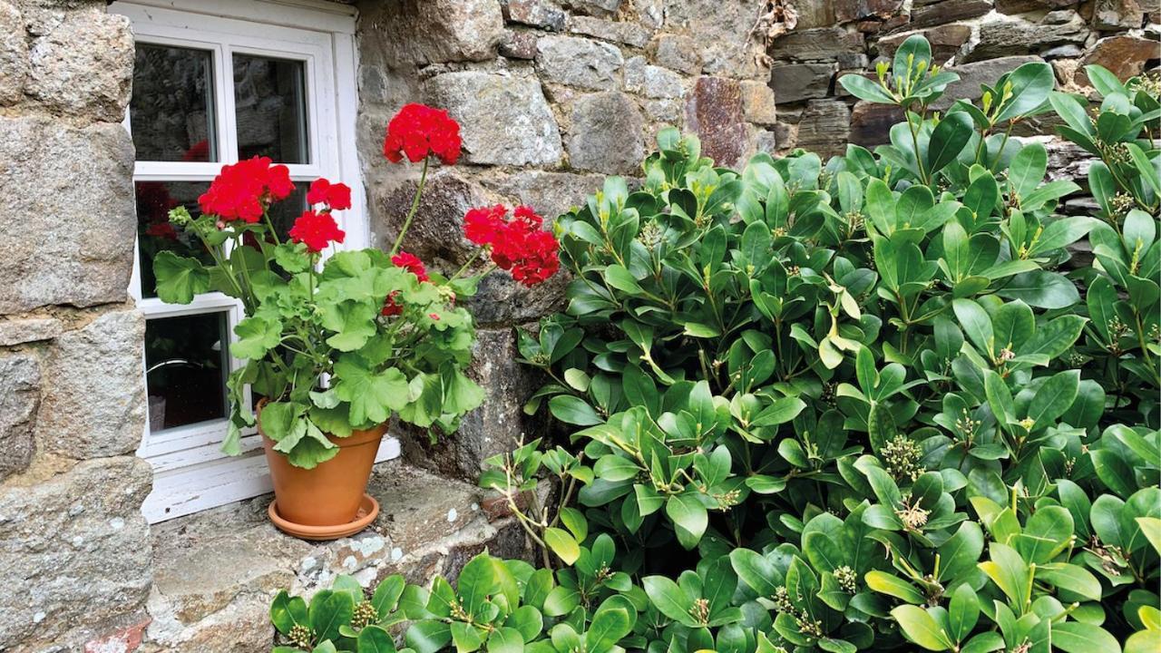 Manoir De La Begaudiere Mont-Dol Kültér fotó