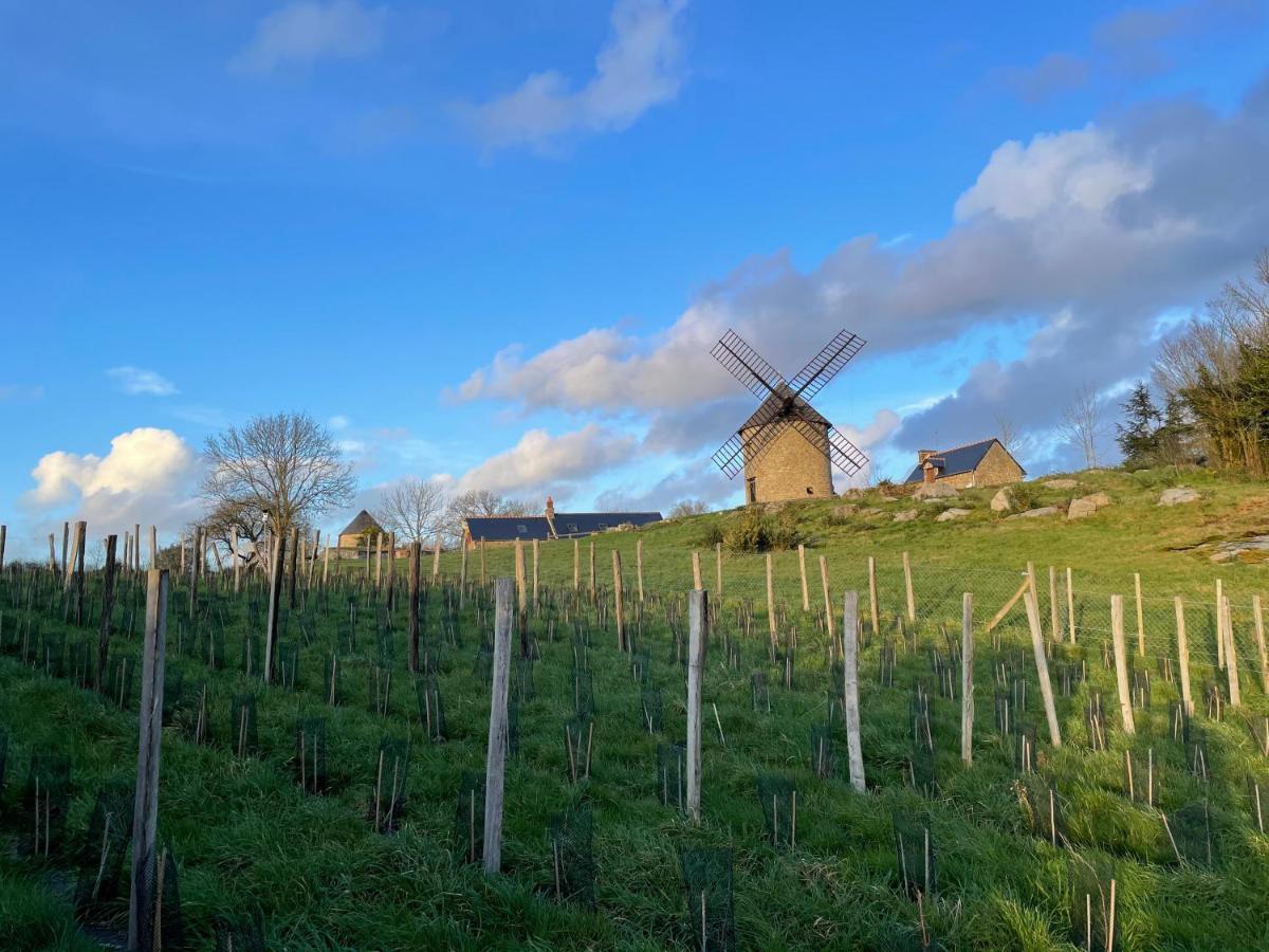 Manoir De La Begaudiere Mont-Dol Kültér fotó